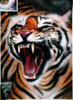 quadro tigre animali